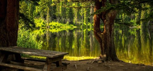 nathan-anderson-ybGjn33Vpmw-unsplash